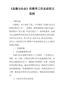 《品德与社会》的教学工作总结范文范例