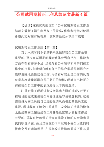 公司试用期转正工作总结范文最新4篇