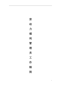 劳动力福利管理员工作细则（DOC 75页）