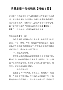 质量承诺书范例锦集【精编4篇】