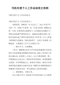 司机年度个人工作总结范文范例