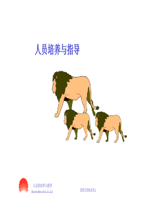 华为的人员的培养与指导