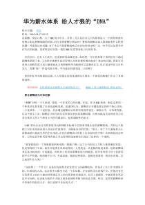 华为薪水体系 给人才狼的
