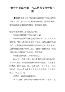 银行柜员试用期工作总结范文及计划4篇