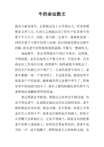 牛的命运散文