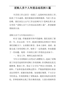 采购人员个人年度总结范例5篇