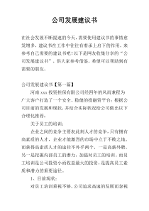 公司发展建议书