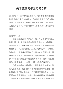 关于流浪狗作文汇聚5篇