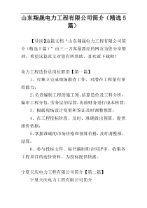 山东翔晟电力工程有限公司简介（精选5篇）