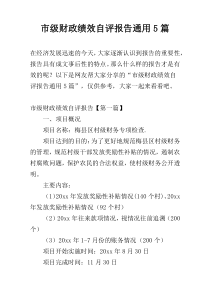 市级财政绩效自评报告通用5篇