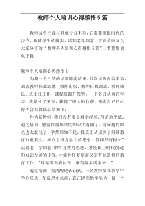 教师个人培训心得感悟5篇