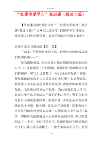 “红领巾爱学习”观后感（精选4篇）