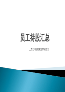 员工持股汇总（PPT68页）