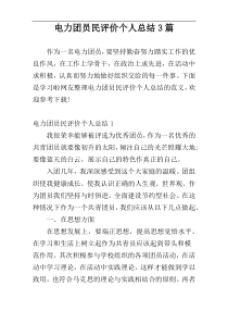 电力团员民评价个人总结3篇