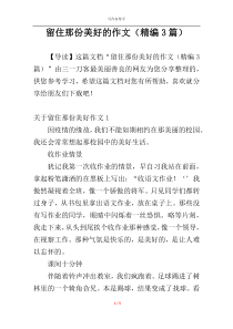 留住那份美好的作文（精编3篇）