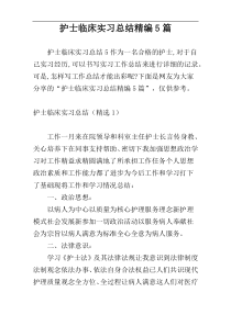 护士临床实习总结精编5篇
