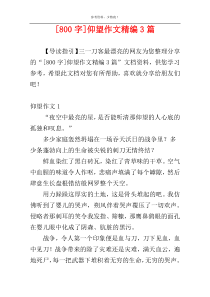 [800字]仰望作文精编3篇