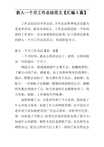 新人一个月工作总结范文【汇编5篇】