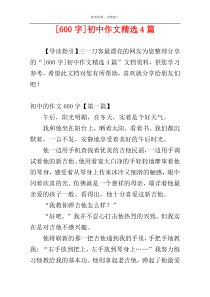 [600字]初中作文精选4篇