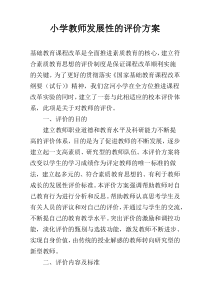 小学教师发展性的评价方案
