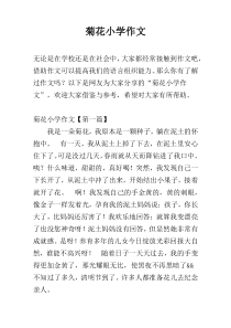 菊花小学作文