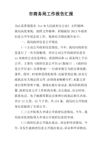 市商务局工作报告汇报