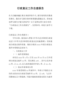 行政复议工作自查报告