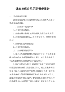 贷款担保公司尽职调查报告