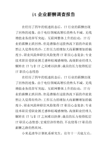 it企业薪酬调查报告