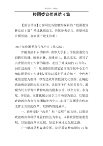 校团委宣传总结4篇