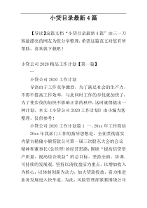 小贷目录最新4篇
