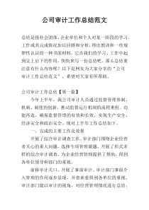 公司审计工作总结范文
