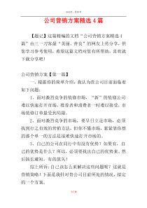 公司营销方案精选4篇