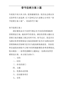春节促销方案3篇