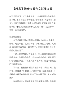 【精品】社会实践作文汇集5篇