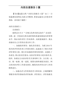 内控自查报告3篇