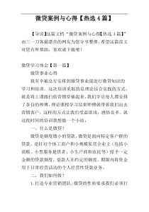 微贷案例与心得【热选4篇】