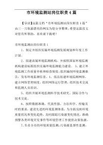 市环境监测站岗位职责4篇