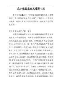 党小组鉴定意见通用4篇