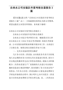 自来水公司安装队年度考核自查报告3篇