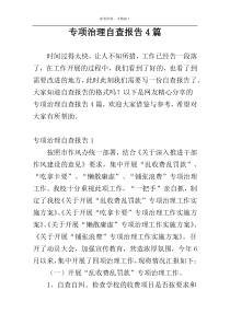 专项治理自查报告4篇