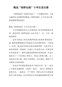 甄选“绿野仙踪”小学生读后感