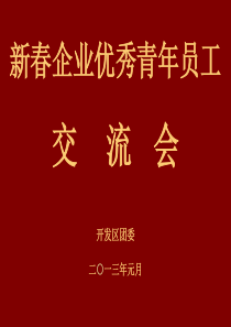 新春企业优秀青年员工交流会