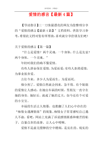 爱情的感言【最新4篇】