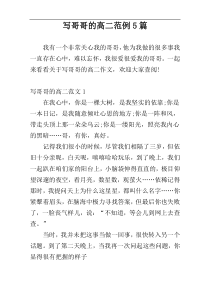 写哥哥的高二范例5篇