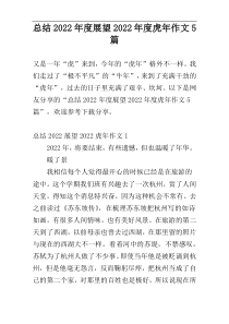 总结2022年度展望2022年度虎年作文5篇