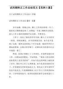 试用期转正工作总结范文【范例5篇】
