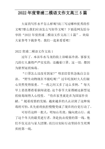 2022年度青浦二模语文作文高三5篇