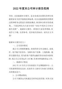 2022年度末公司审计报告范例