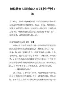 精编社会实践活动方案(案例)样例4篇